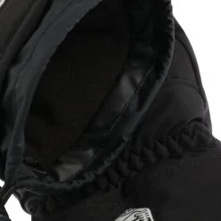 Alpine Czone Pointer Fäustlinge By Hestra