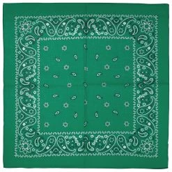 Bandana Tuch By Lipodo -Stetson Speichern Bandana Tuch by Lipodo dunkelgruen.92708 1rf174