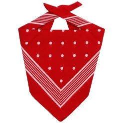 Dots Bandana By Lipodo -Stetson Speichern Dots Bandana by Lipodo rot.49467 rf3